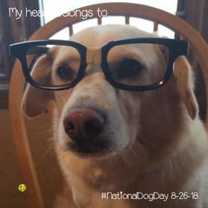 Meet your Posher, Jil